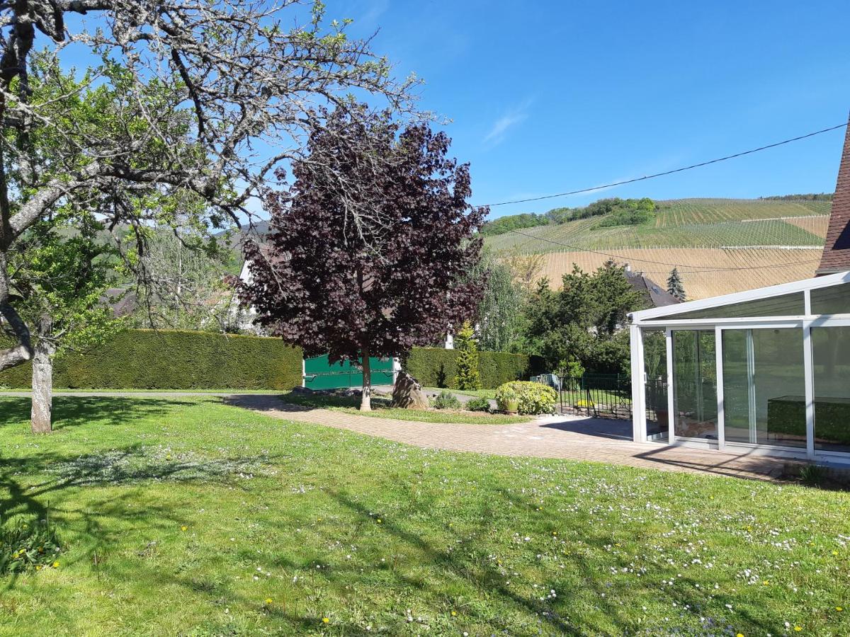 Villa/Appartement Au Coeur Des Vignes *** 巴尔 外观 照片